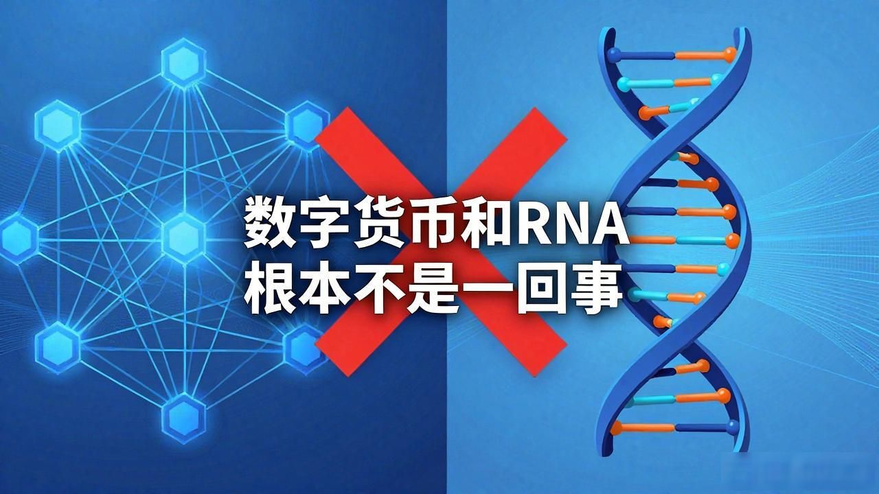 数字货币和RNA根本不是一回事，别被忽悠了